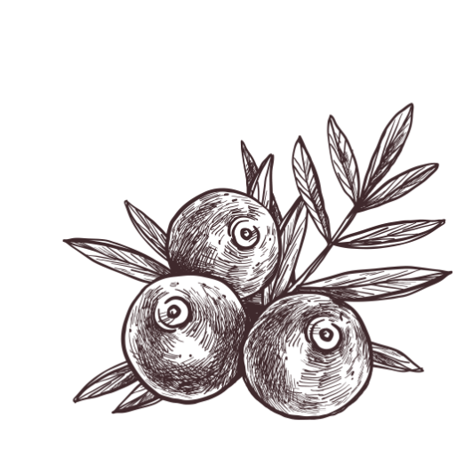 acai-desenho
