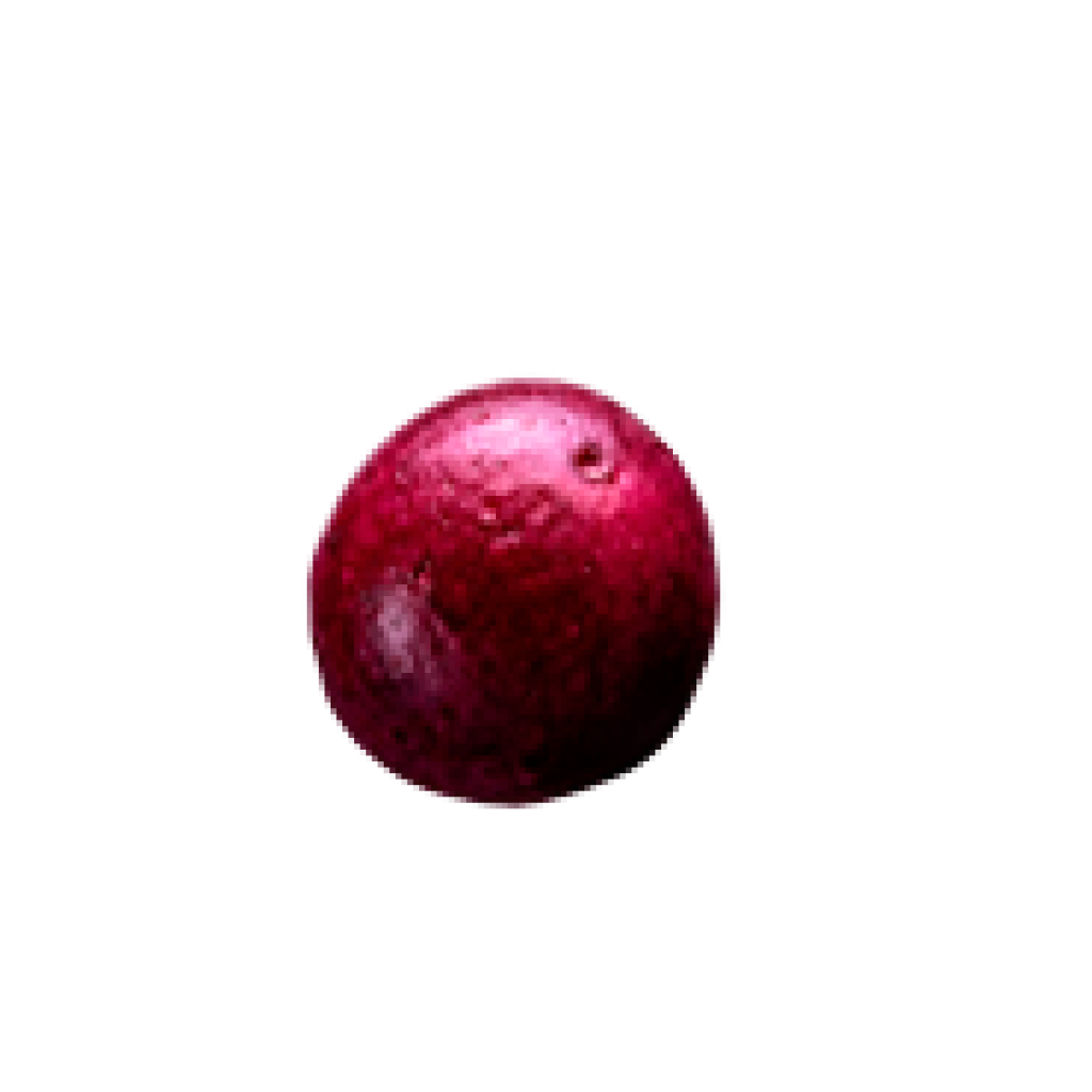 semente-01