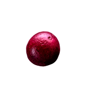 semente-01