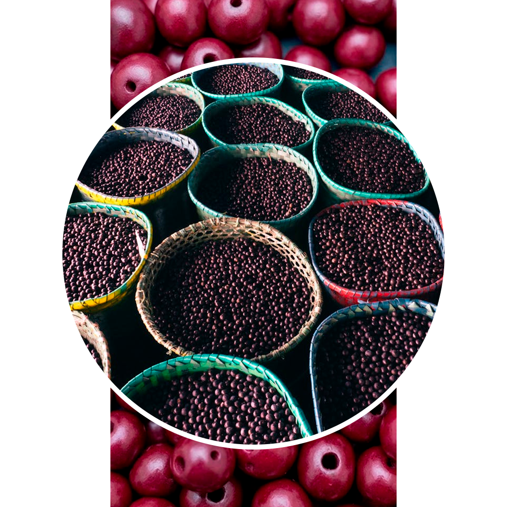decorativo3